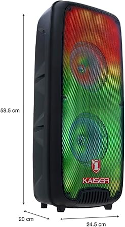 Bafle Kaiser KSW2065-04